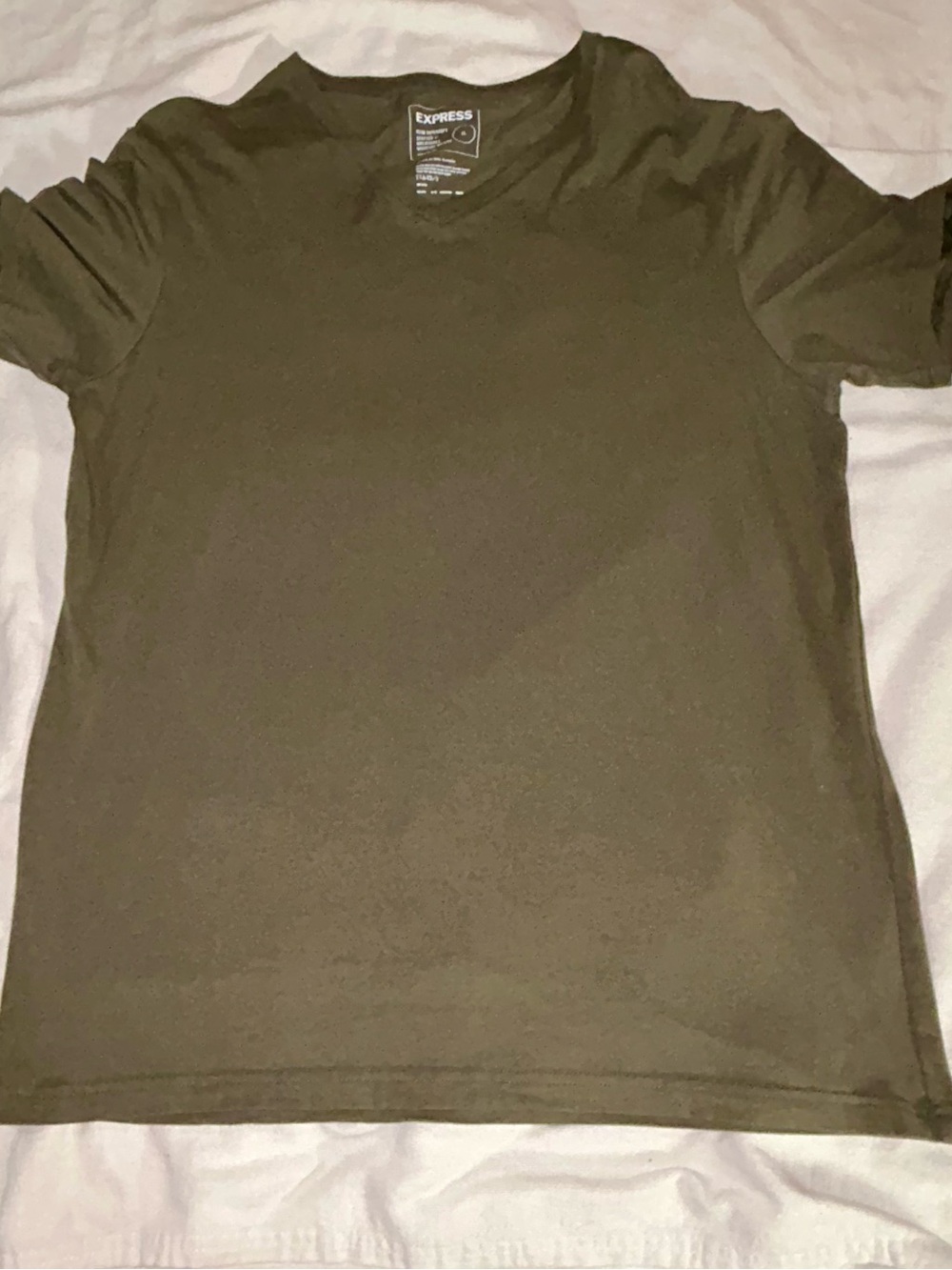 Express Men’s Short Sleeve V-Neck Tee in Olive